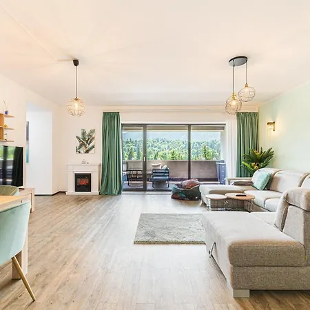Fabulous Panorama Silver Mountain Apartment *
