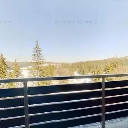Fabulous Panorama Silver Mountain Apartment