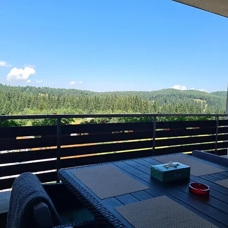 Fabulous Panorama Silver Mountain Apartment Poiana Brasov